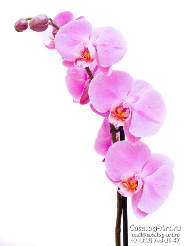 Натяжные потолки с фотопечатью - Розовые орхидеи 59